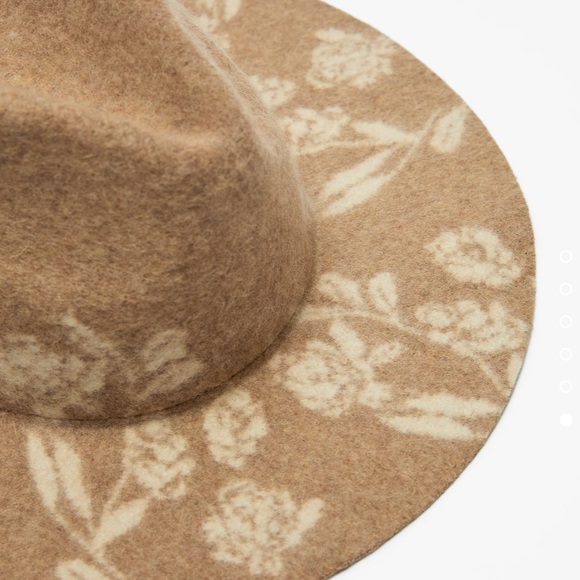 Zara Hat - Picture 6 of 9